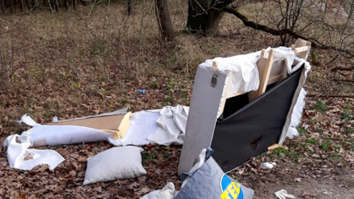 Foto zum Thema illegale Müllentsorgung: Zu sehen ist Sperrmüll im Wald.