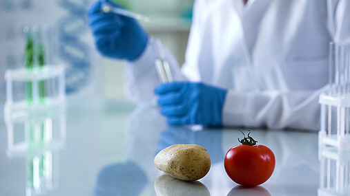 Foto zum Thema "Lebensmittelüberwachung": Zu sehen sind eine Kartoffel und eine Tomate im Vordergrund, die auf einem Labortisch liegen. Im Hintergrund führt jemand, der einen weißen Kittel trägt, mit Reagenzglas und Pipette Untersuchungen durch.